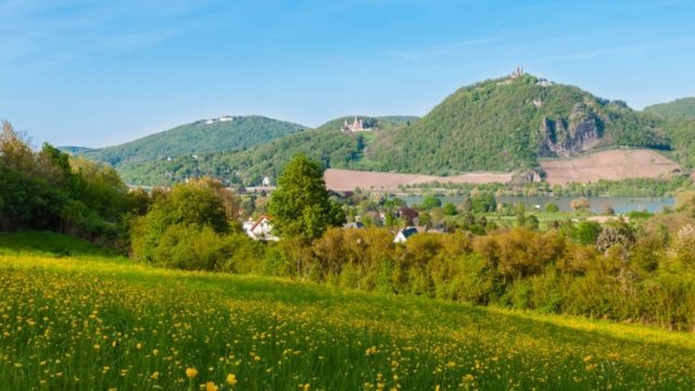 Parkensemble Schaaffhausen